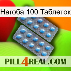 Нагоба 100 Таблеток viagra4